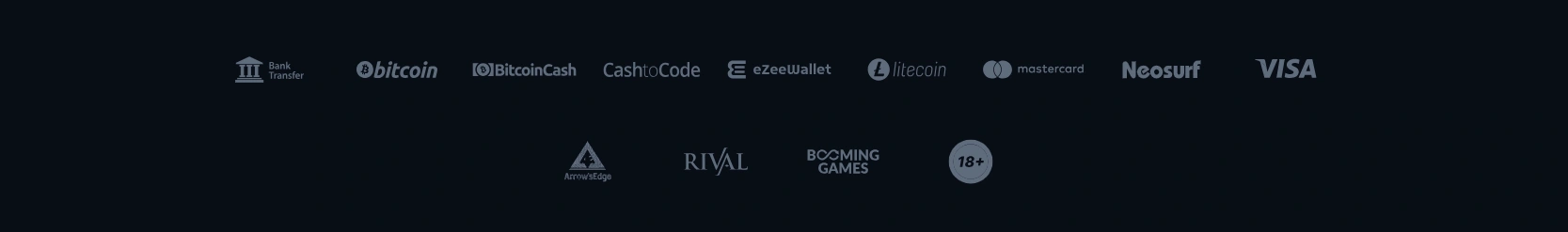 Payment methods accepted at Ripper Casino